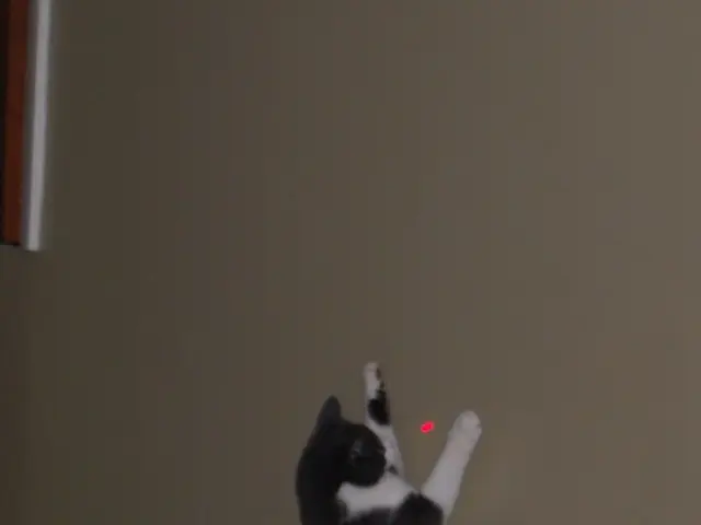 Engineer's Daily Routine within the Lab