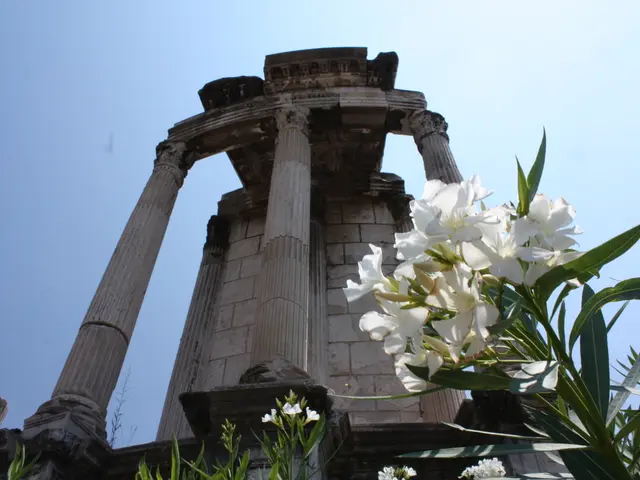 Ancient Oxygen Spike Led to a Burst in Biological Variety 400 Million Years Ago