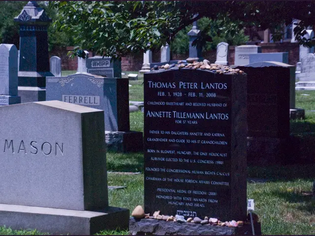 Comparison between Graves' disease and Hashimoto's disease: Two Thyroid Disorders Explained