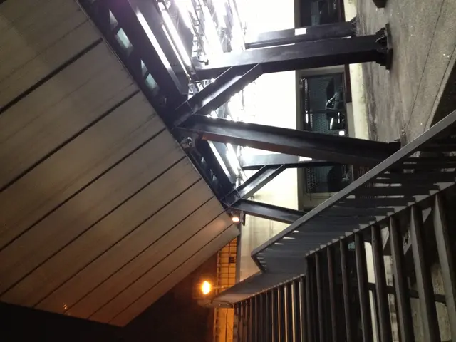 Reasons Against Hearing Friedrich Merz's Advice