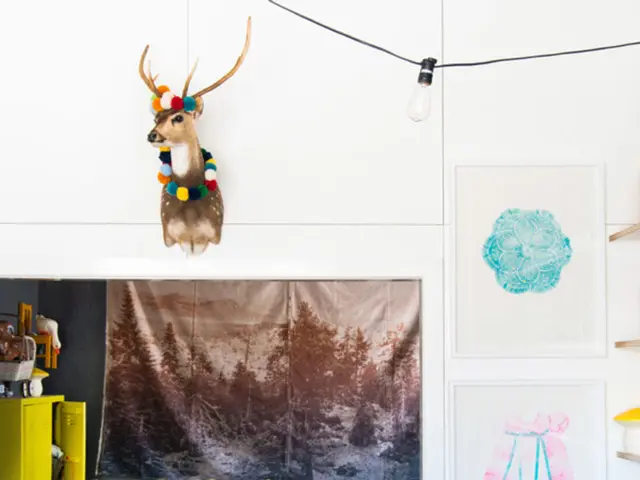 Unheralded Pet Accessories Worth Your Money in 2025: A Selection of 25 Valuable Finds