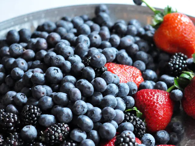 Medical Professionals Recommend Blueberries for Enhancing Cognitive Function