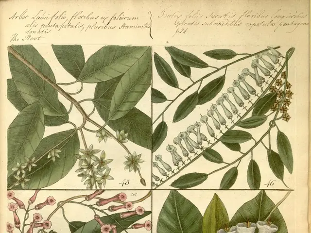 Online and In-Store Purchasing of Plants: Knowledge from Plant Experts