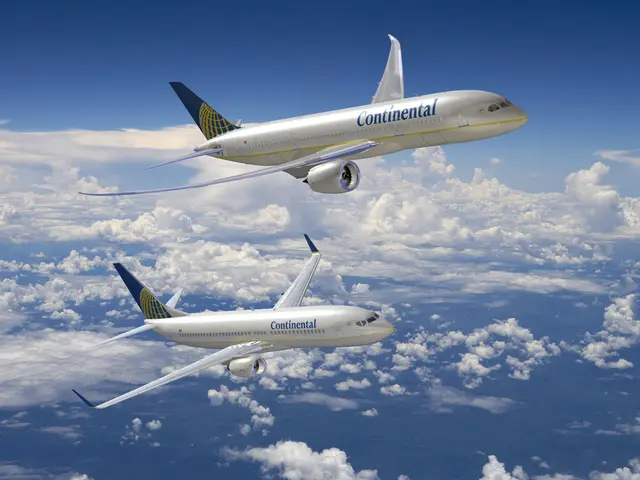 "Multiple flights from Pulkovo to Moscow will be consolidated by a Russian airline"