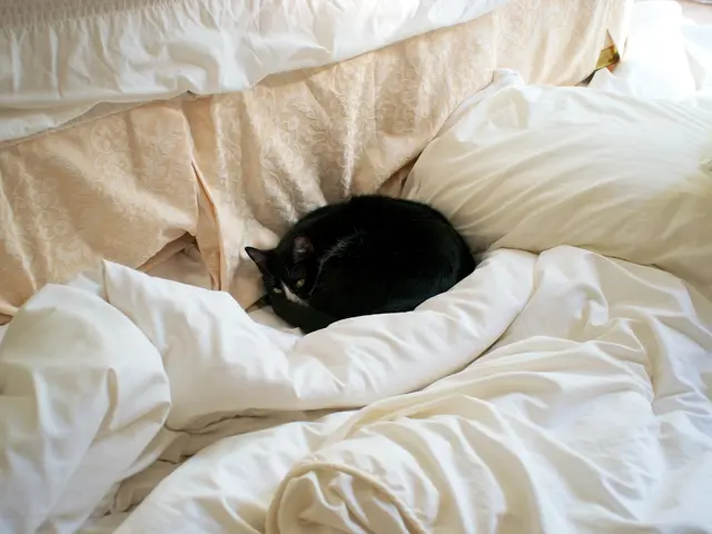 Affordable Cloud-Knit Pajamas by Target, Priced at $30, Spark Rating from Multiple Buyers