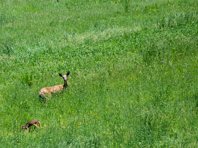 Agriculture Secretary Gert Zender distributes credentials for green-related occupations