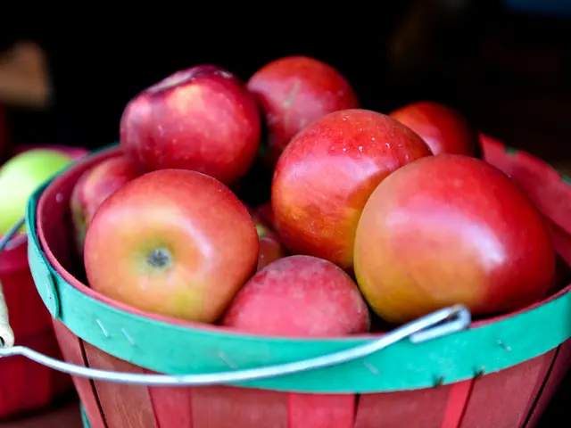 Germany's apple yield anticipation surpasses projected reduction in harvest