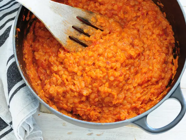 Shibarium Witnesses the Introduction of K9 Finance DAO's Bonecrusher v3, Incorporating Fresh Pools