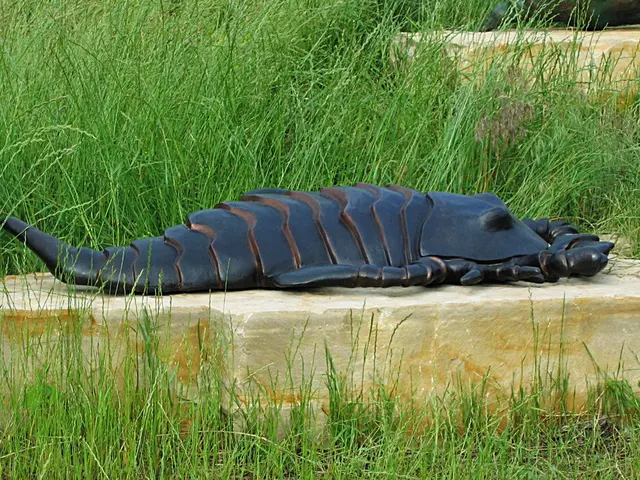 Zodiac Signs Enjoying a Prosperous Period