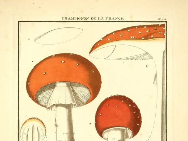 Unveiling the silent messages from your subconscious mind