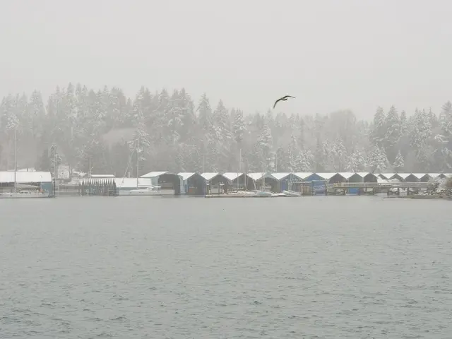 Introductory Handbook for Attracting Birds During Cold Seasons through Food Provision