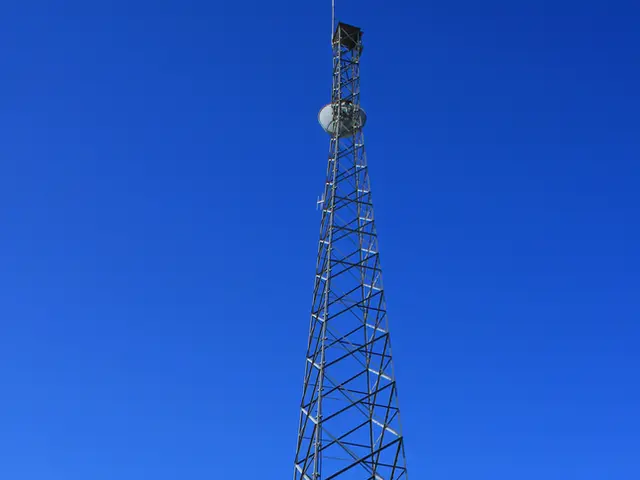 Revealing Insights from Beyond the Gates during the week of July 28th to August 1st