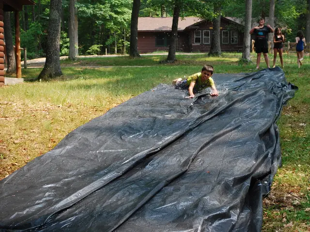 Political party SPD in Hamburg expresses readiness to welcome children from Gaza