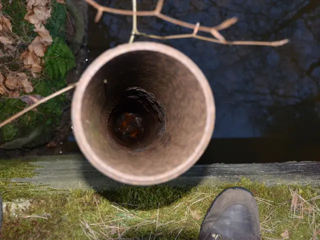 Baltic Sea's Submerged Pipelines and their Geopolitical Implications