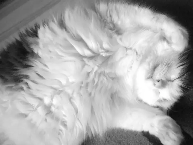 Medicare's Association with Zepbound: Details on Coverage, Cost, and Further Information