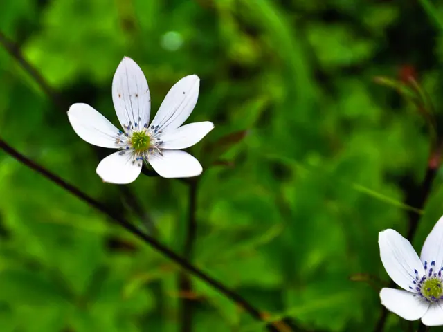 Discover the buzz around Dill Green? Labeled as 'nature's neutral' by designers, this trendy shade...