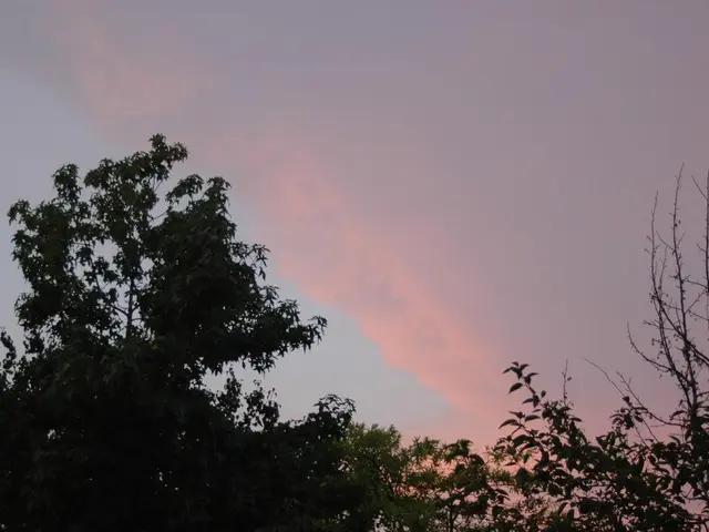 Forecast for Rafaela on August 25, 2025: what's the weather got planned?