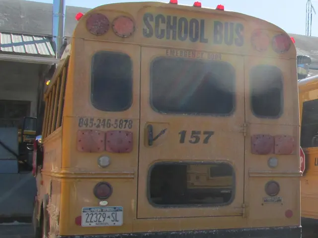 Bus service departure from Ammerndorf Hauptstraße stops at lines 113 and 114
