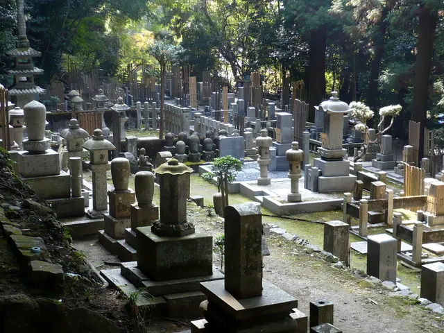 Ileostomy Procedure, Uses, and Further Insights: An Examination of Brooke's Experience