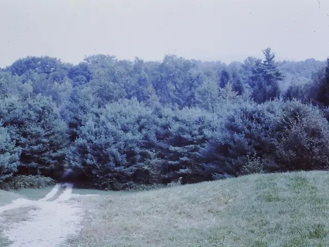 Greetings, Pforzheim. Heading to the medical facility today.