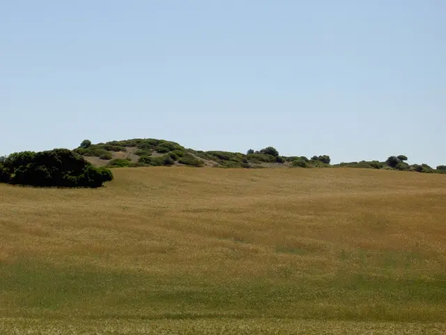 Clear skies prevail in the southern regions this week - cloudy conditions in the northern region