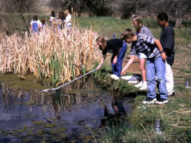 Yang Makes Four Betting Attempts
