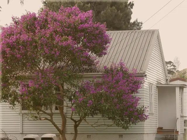 Outdoor Mathematical Exercises Inspiring Awe for Various Age Groups