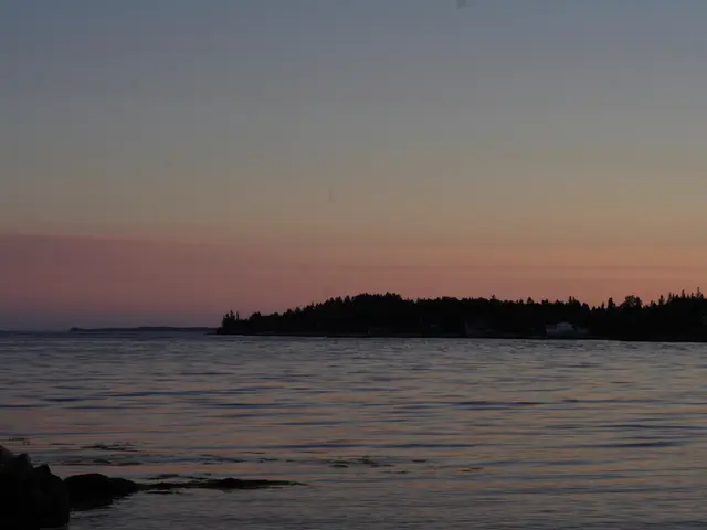 Cast your vote to determine the winner of this year's Environment & Me photo contest's Public...