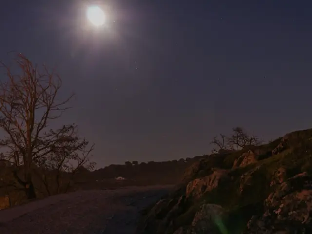 Discoveries Detailed in Recent Research Uncover Fresh Insights Concerning Pluto and Its Satellites