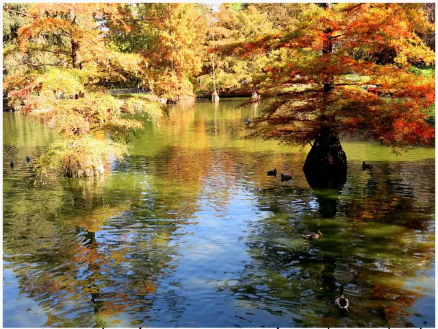 Advertising Firms Battery and Havas Media Secure Account as Agency of Record for Land O'Lakes