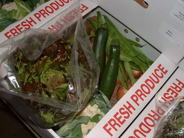 Sun-Drenched Provençal Farcis: A Savorful Recipe to Tempt Your Senses