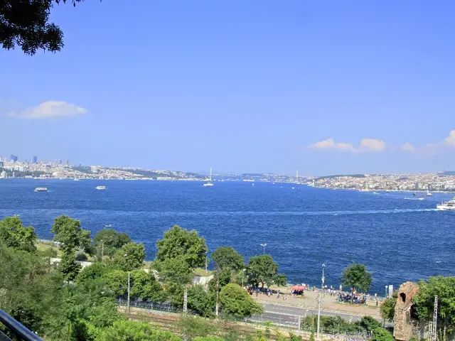 A Nightmarish Beach Getaway: "Too Old to Die Young" Streaming on Amazon Prime Video