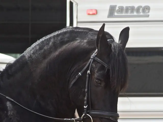 Authorities are searching for potential witnesses in reference to a break-in involving a...