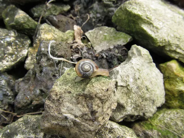 Bridge assailants throwing rocks sought by authorities for questioning