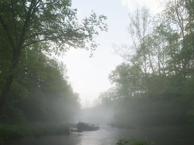 "UOB asserts water's significance, becoming the initial Singapore bank to release a report aligned...