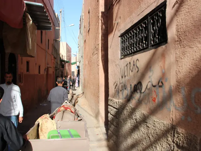 Dialogue in Gaza City: Soaring Temperatures and Lack of Food Combine in a Lethal Condition