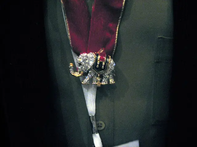 Aue, Solingen's partner city, hunting for monikers for recently born miniature donkeys of American...