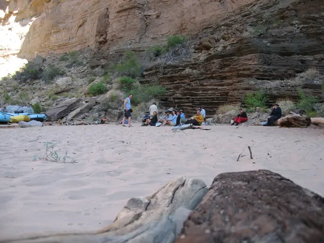 Mountain Ore Criminal Incident: Tragic findings of deceased twins and a tense bunker narrative