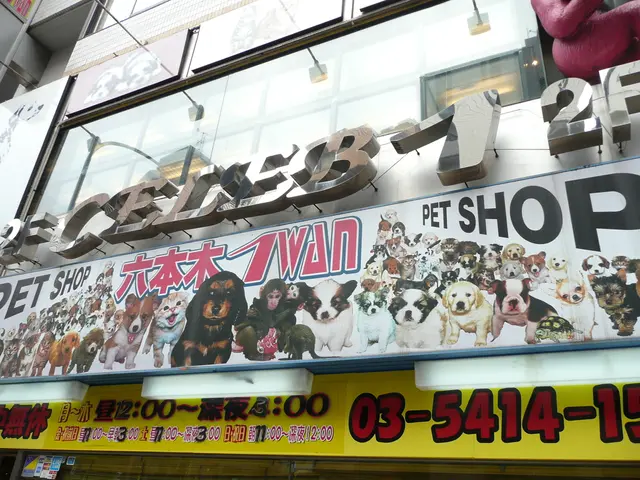 Northeast AOK stands in solidarity with the Greifswald Dementia and Cultural Network