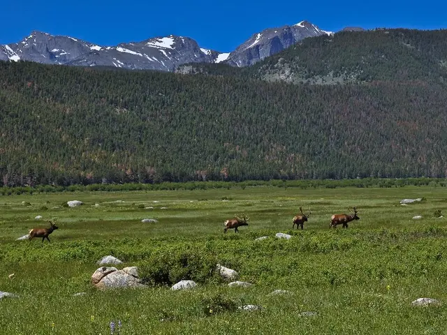 How to Create a Wild Animal Using Little Alchemy: A Comprehensive Guide