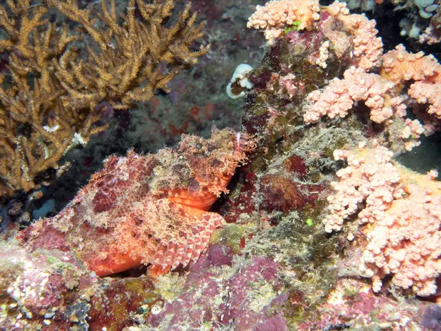 "A deeper hue in the ocean signifies less living organisms present"