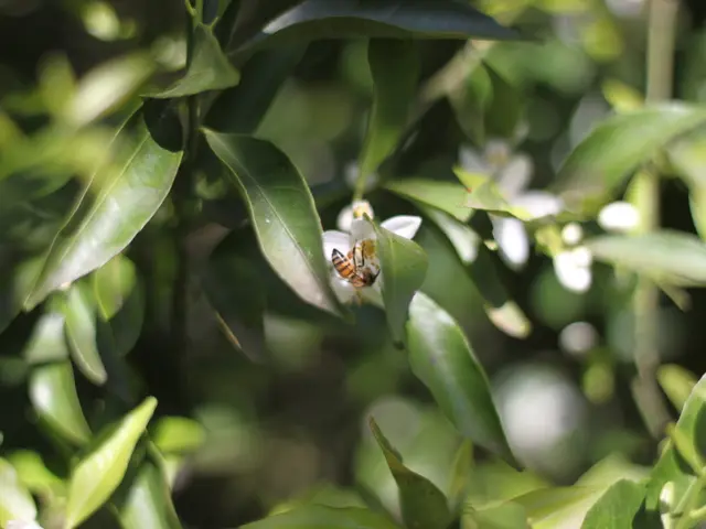 Bus and tram passengers can now enjoy speedy transactions through Bee Network's express pay feature