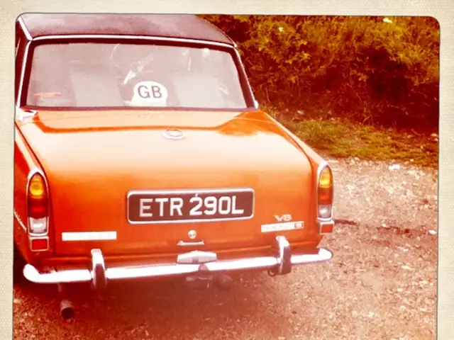 Tree collision claims driver's life