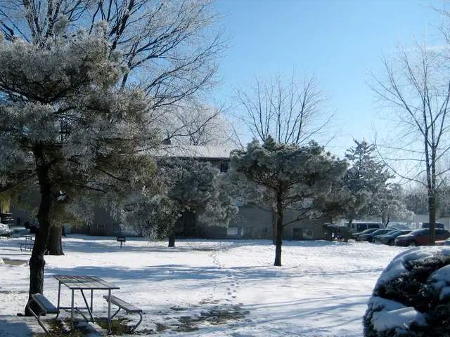 "Opening each chapter is a daunting task, according to author Freida McFadden. Her upcoming...