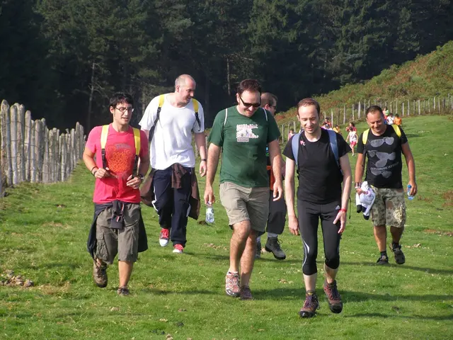 eight highly recommended movies and TV shows from the Martha's Vineyard African American Film...