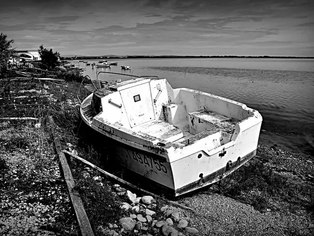 Embracing AI for Advancements in Science on Our Platform