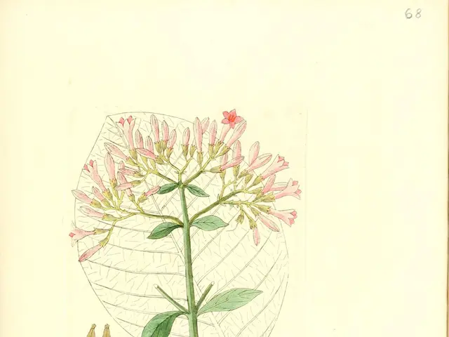 Stem cells with the potential to develop into various types of cells for the body