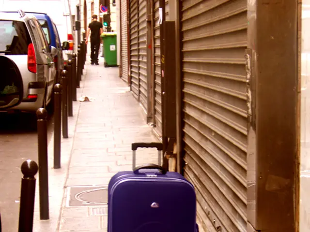 Title Manager for International Trade, European Association of Automobile Manufacturers, ACEA