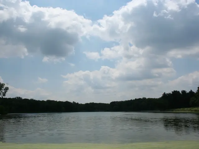 Atmospheric Rivers' Impact on Worldwide Rainfall Distribution Patterns