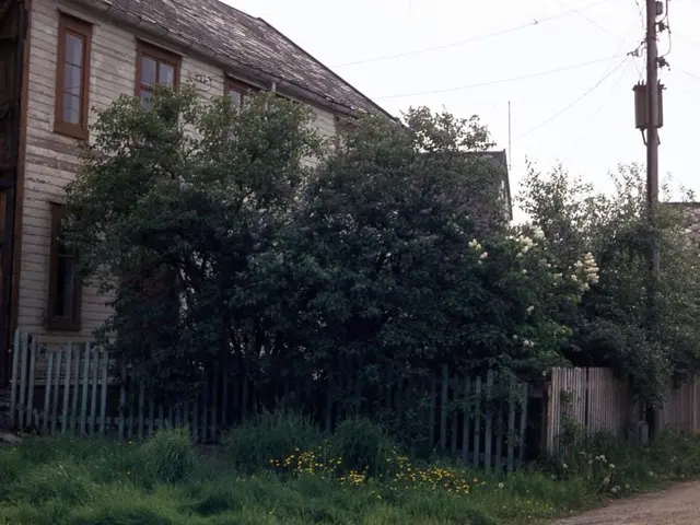 Impact of Celestial Climate on Earth's Atmospheric Conditions